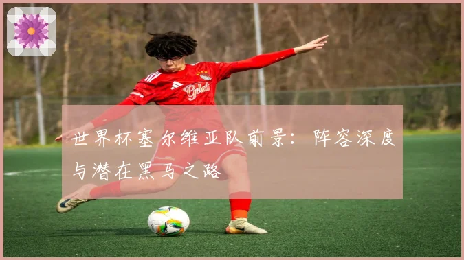 世界杯塞尔维亚队前景：阵容深度与潜在黑马之路