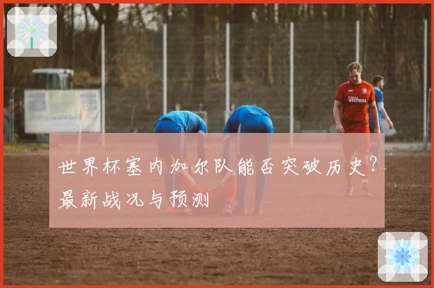 世界杯塞内加尔队能否突破历史？最新战况与预测