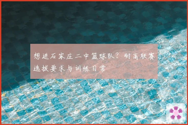 想进石家庄二中篮球队?耐高联赛选拔要求与训练日常