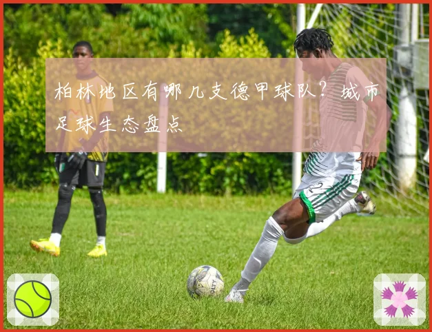 柏林地区有哪几支德甲球队？城市足球生态盘点