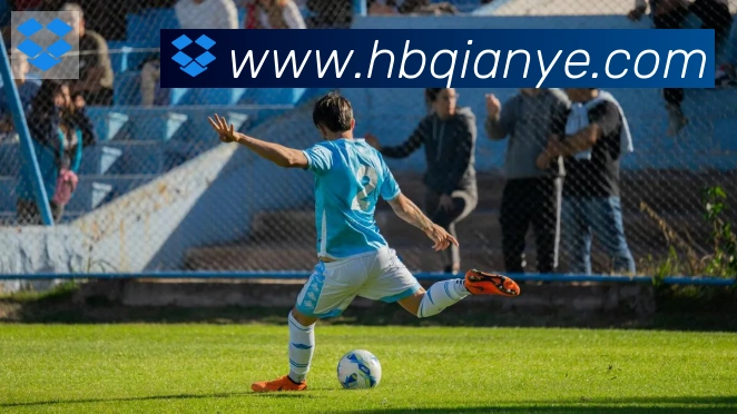 博亚app官网登录入口荣誉