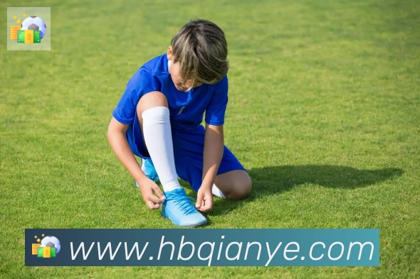 博亚app官网登录入口荣誉